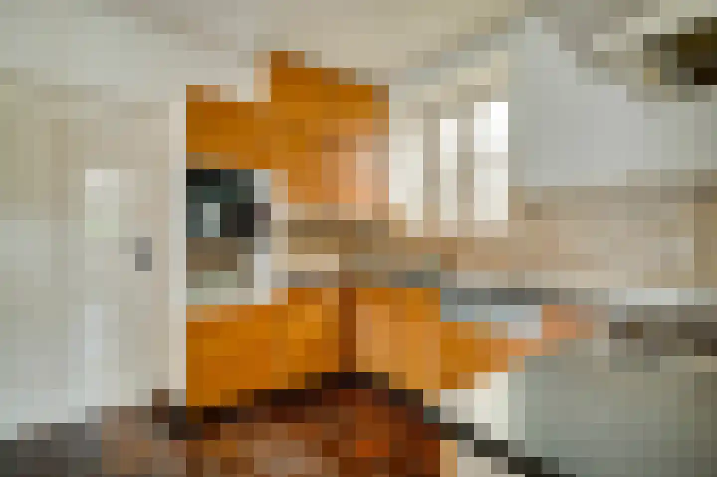 Marktstraat 1 Wessem thumbnail 33