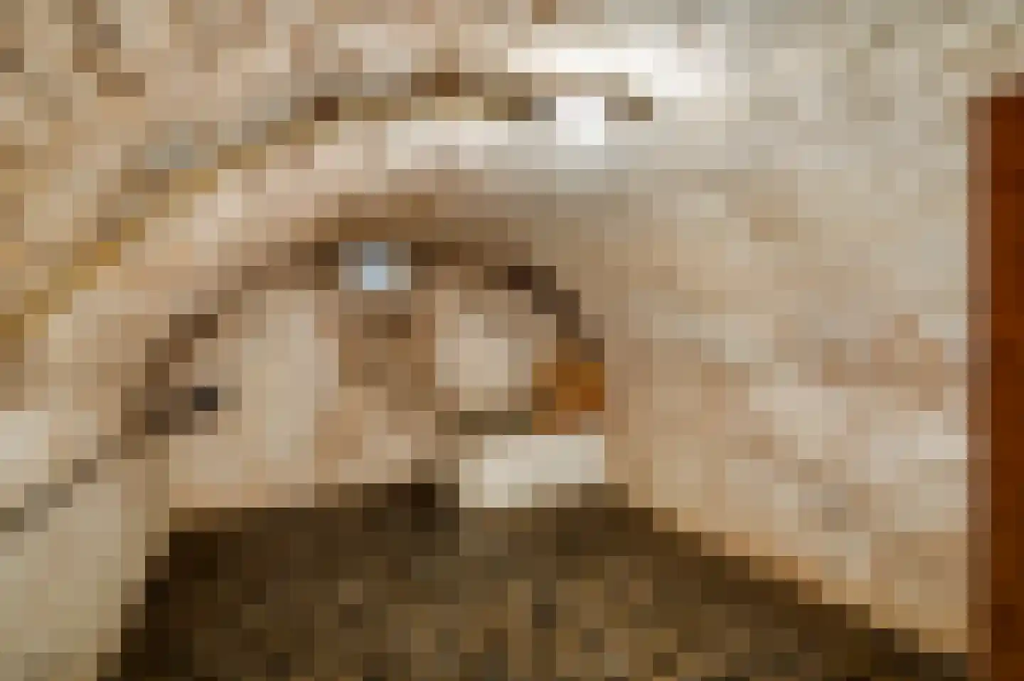 Marktstraat 1 Wessem thumbnail 37