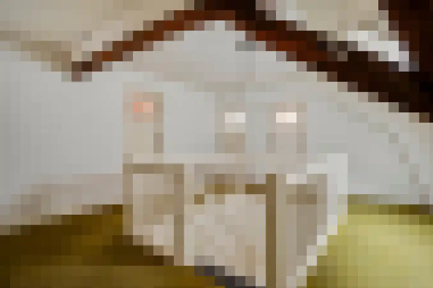 Marktstraat 1 Wessem thumbnail 38