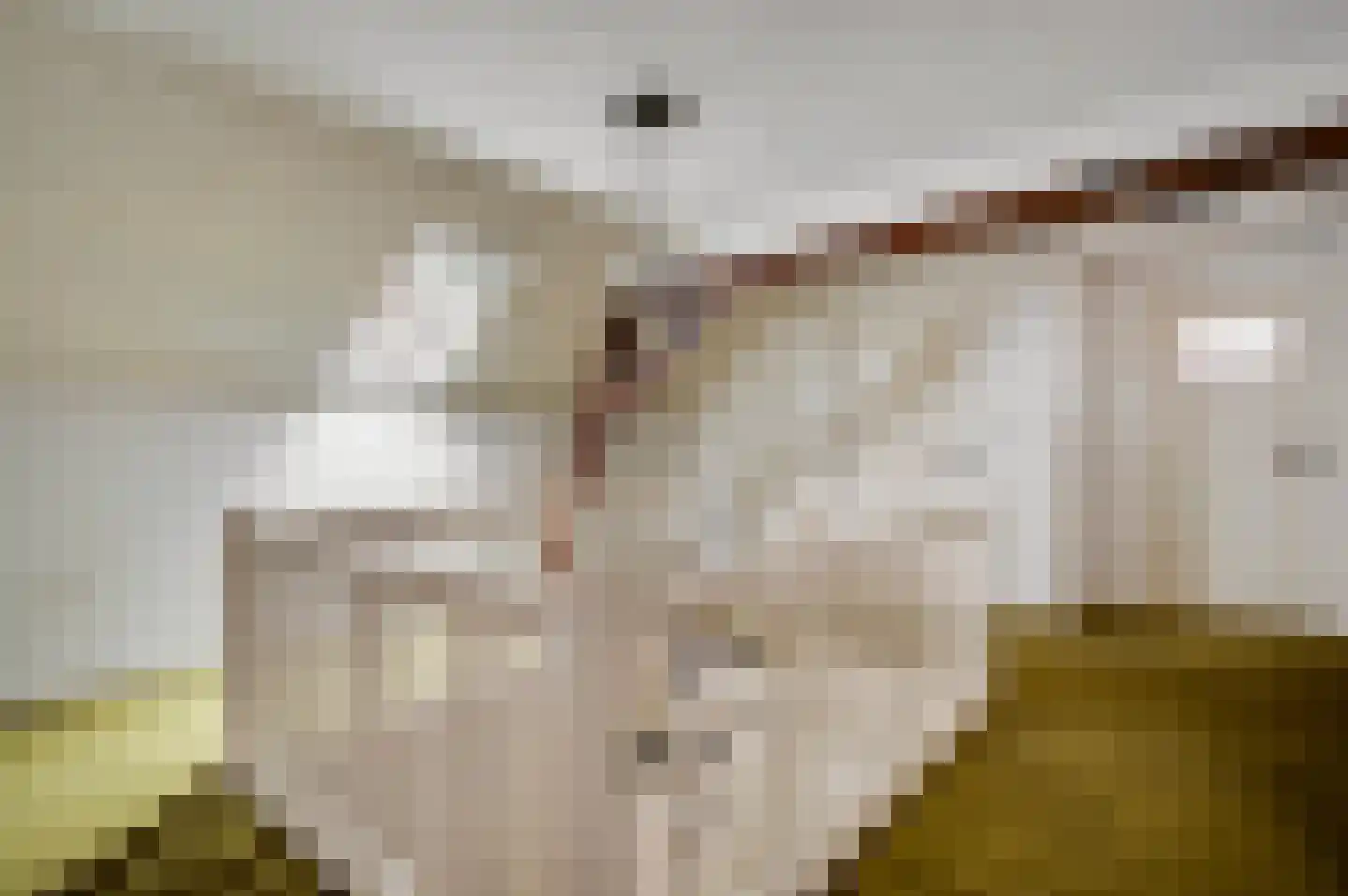 Marktstraat 1 Wessem thumbnail 39