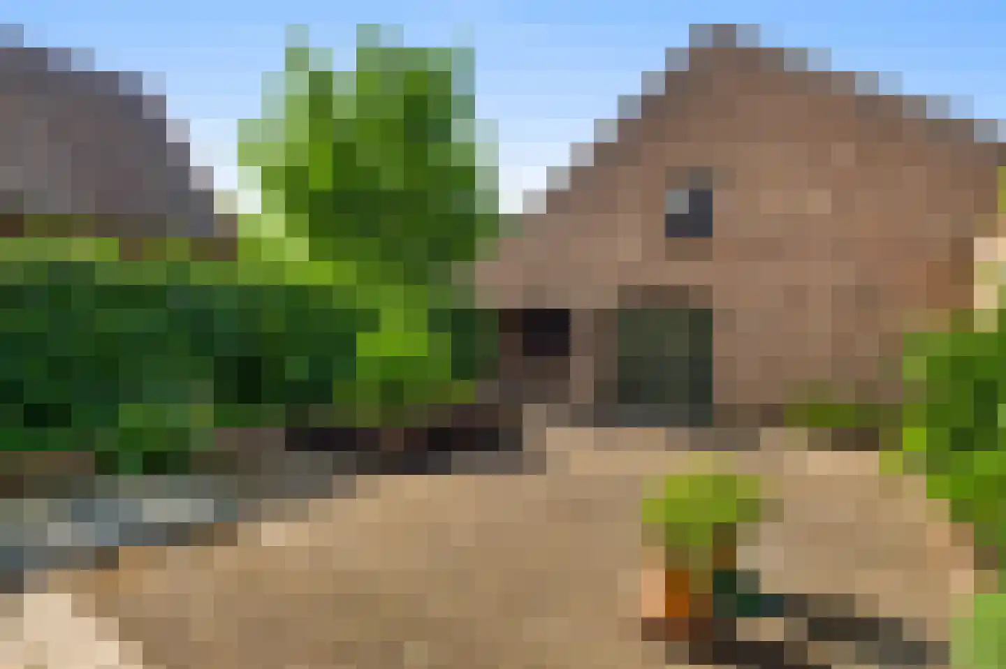 Marktstraat 1 Wessem thumbnail 55