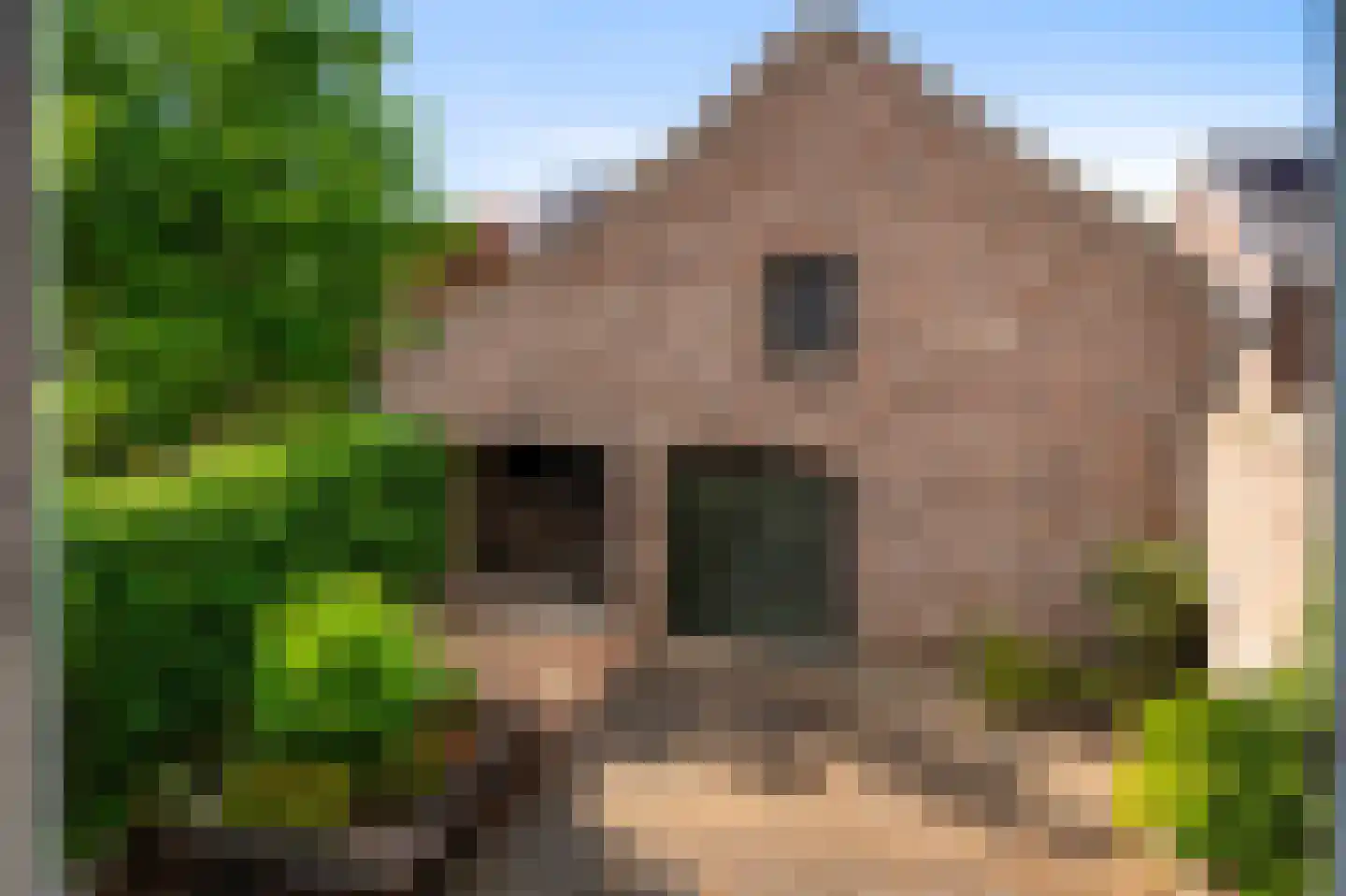 Marktstraat 1 Wessem thumbnail 59
