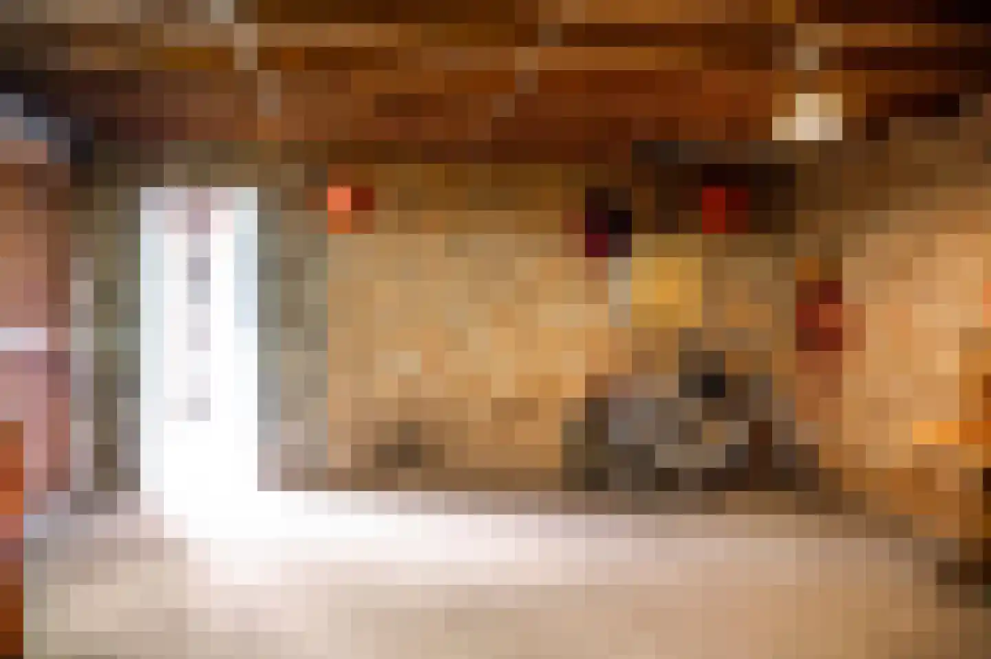 Marktstraat 1 Wessem thumbnail 61