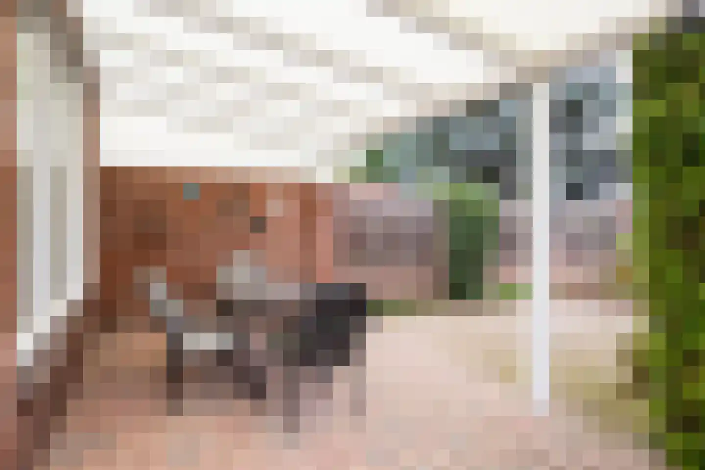 Marktstraat 10 a Linne thumbnail 23