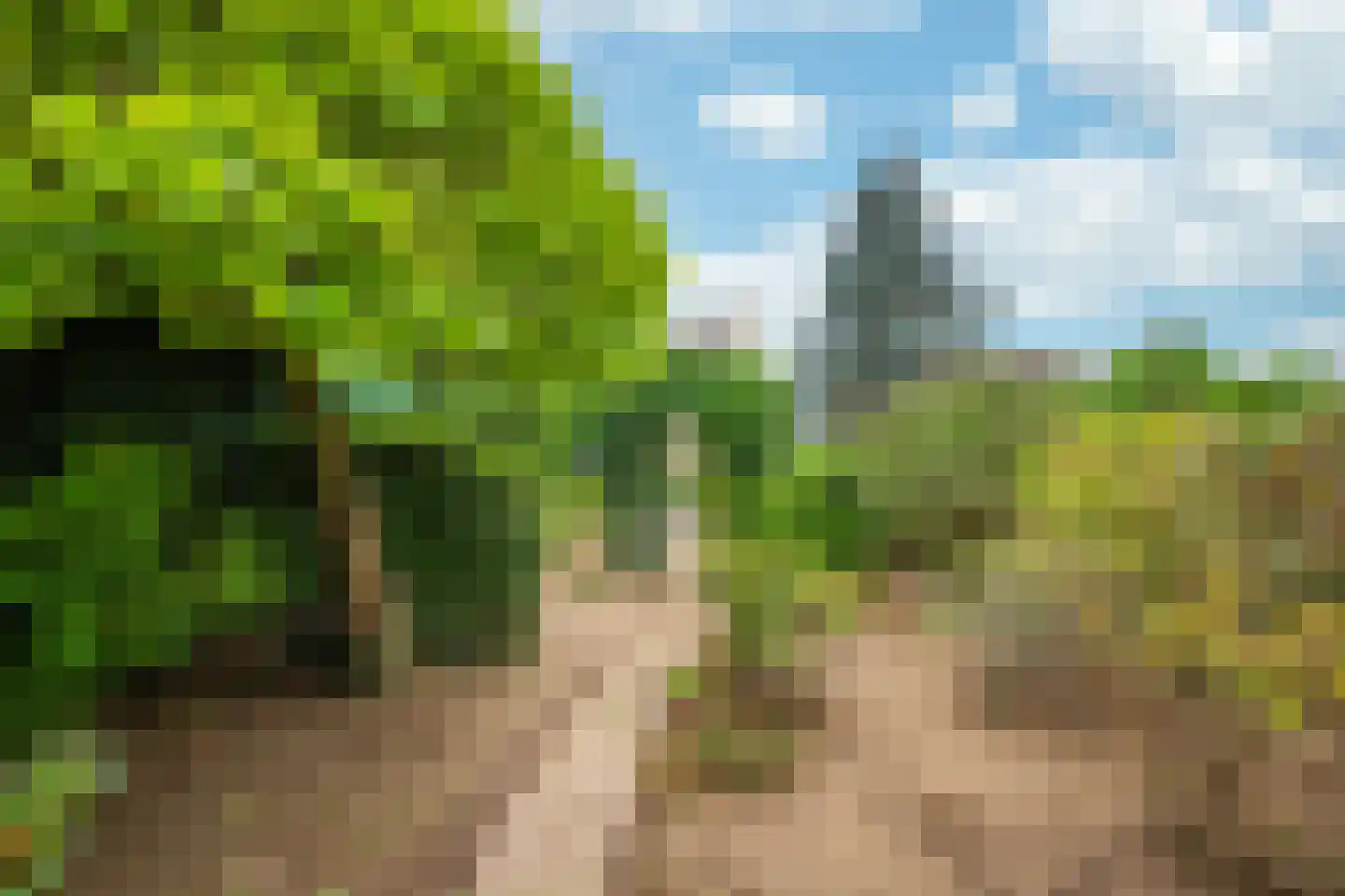 Marktstraat 10 a Linne thumbnail 27