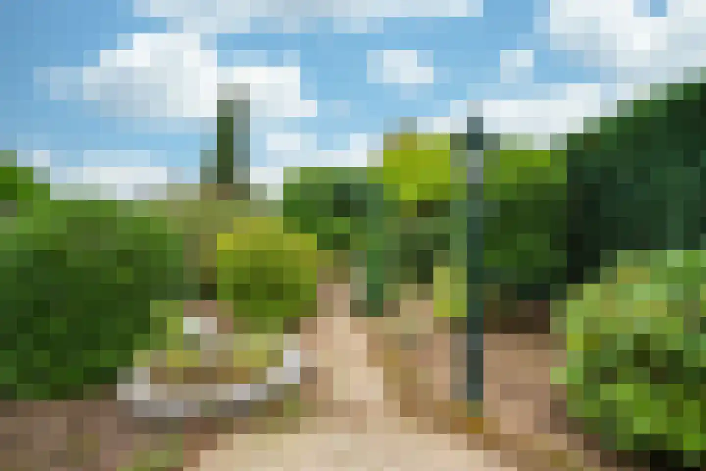 Marktstraat 10 a Linne thumbnail 28