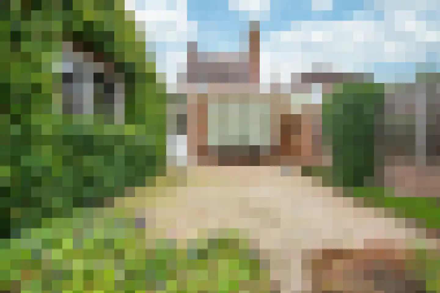 Marktstraat 10 a Linne thumbnail 29