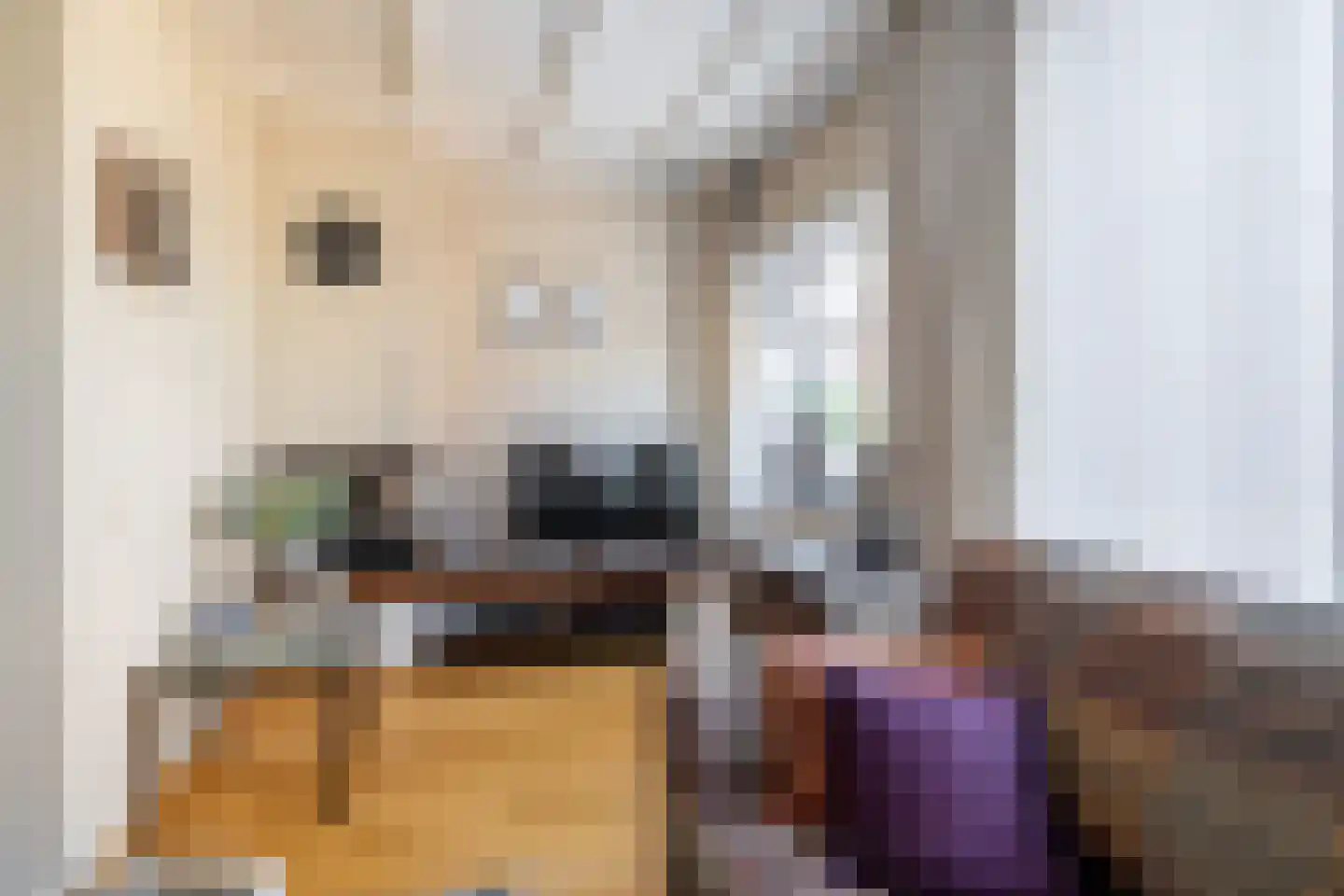 Marktstraat 10 a Linne thumbnail 7