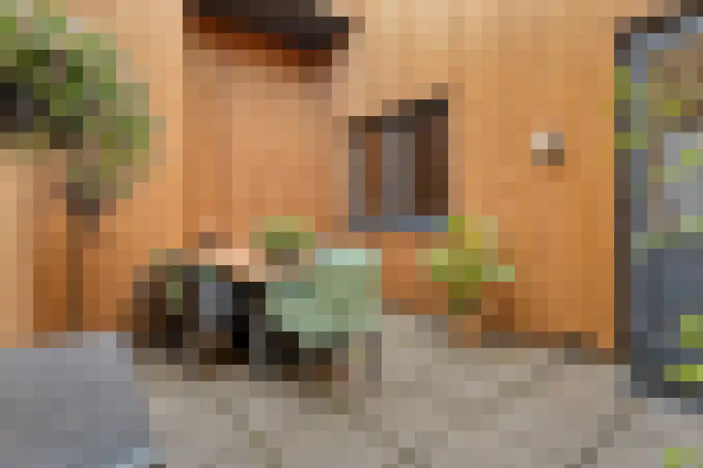 Marktstraat 10 d Raalte thumbnail 23