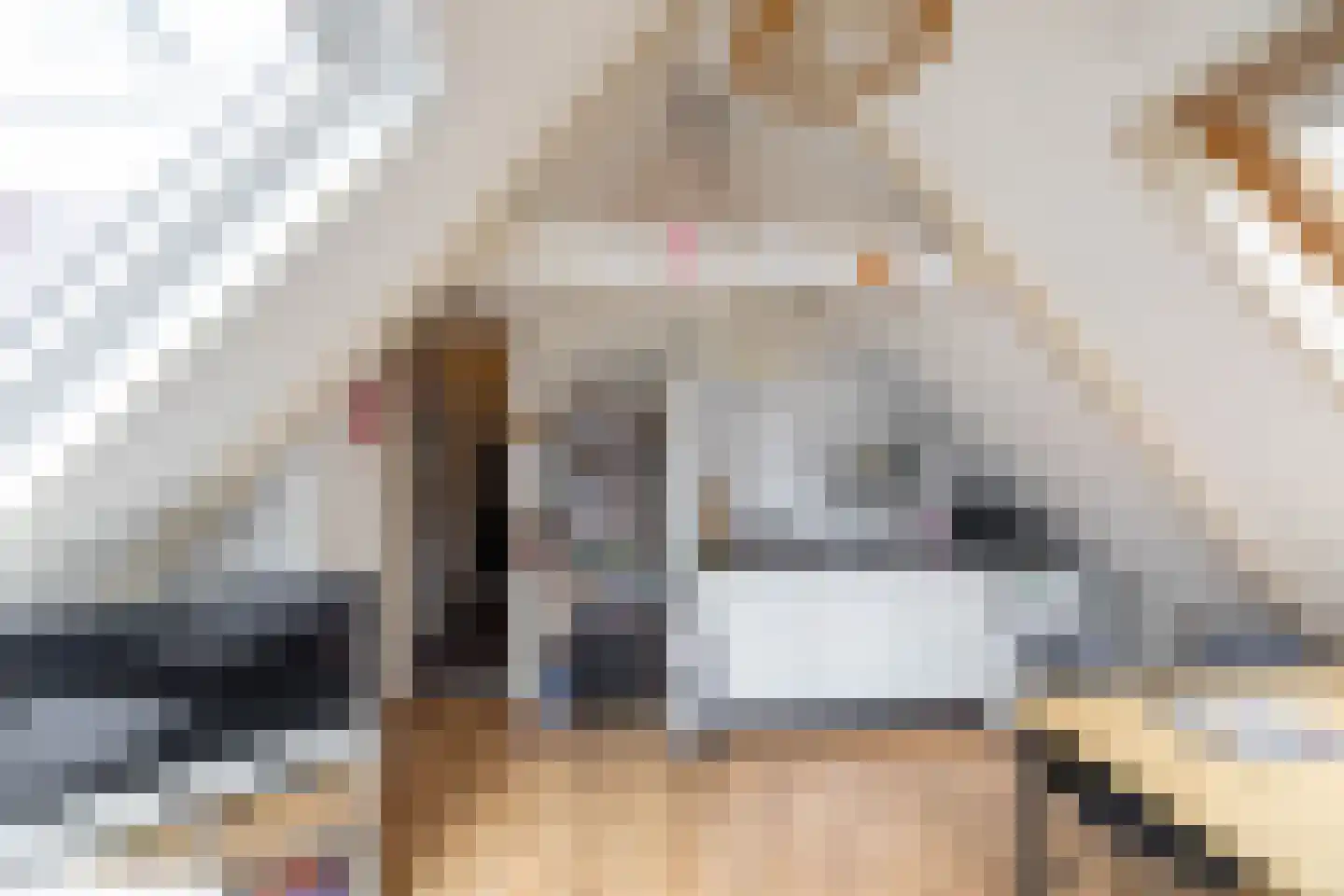 Marktstraat 10 Groningen thumbnail 32