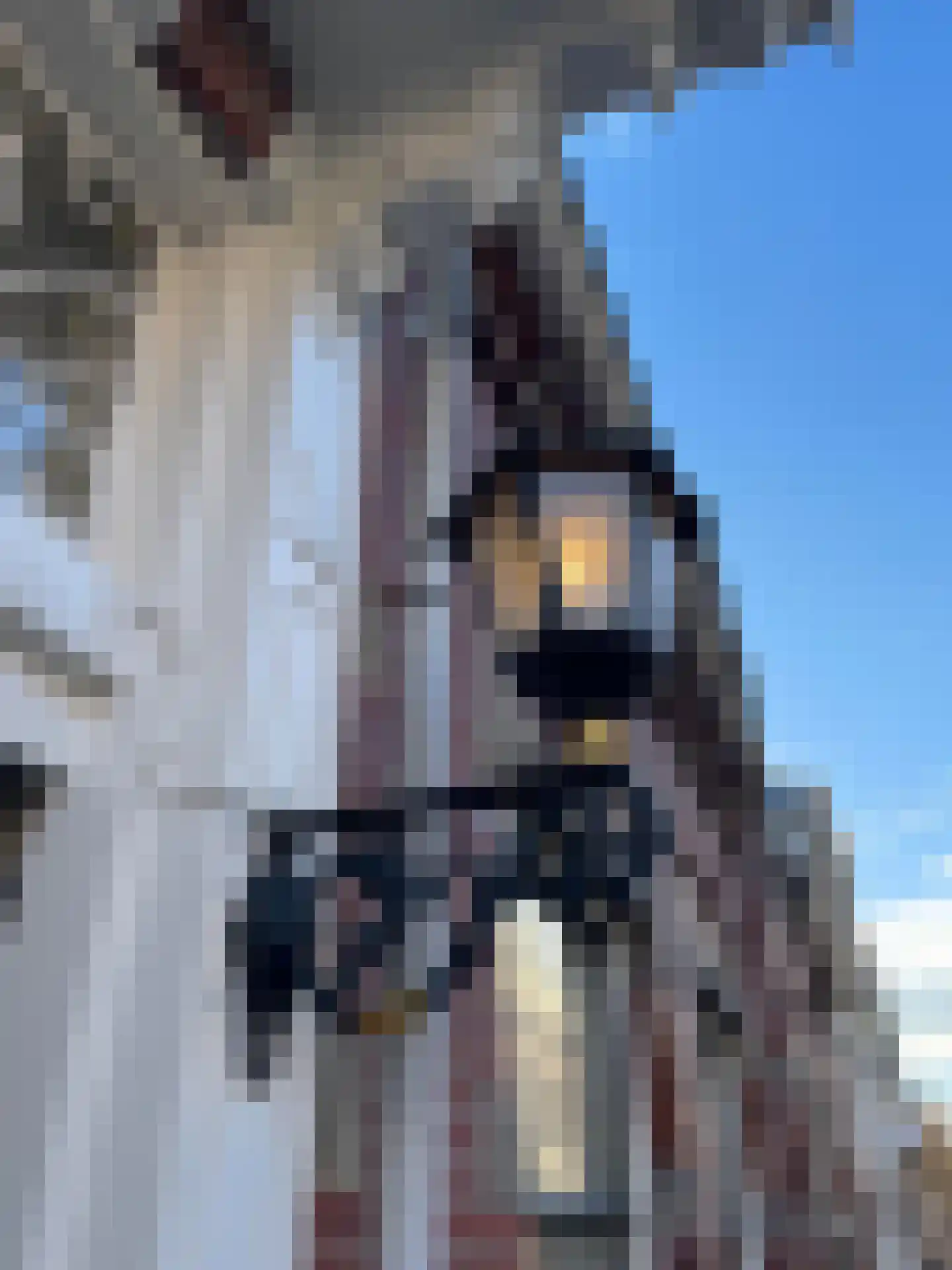 Marktstraat 10 Groningen thumbnail 5