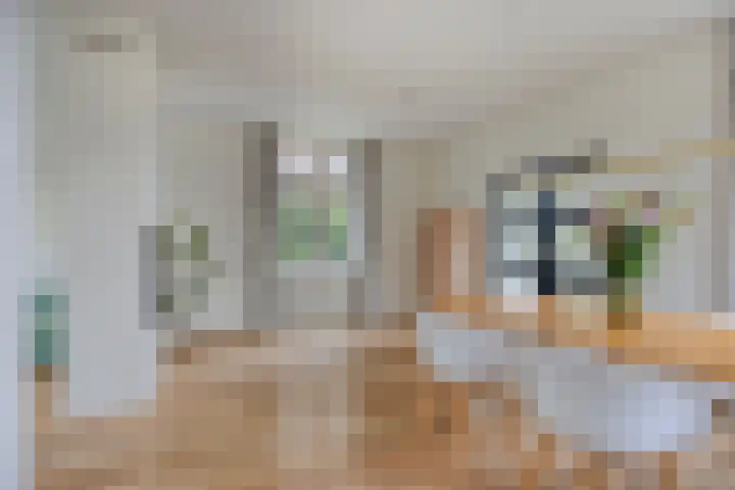 Marktstraat 10 Mierlo thumbnail 10