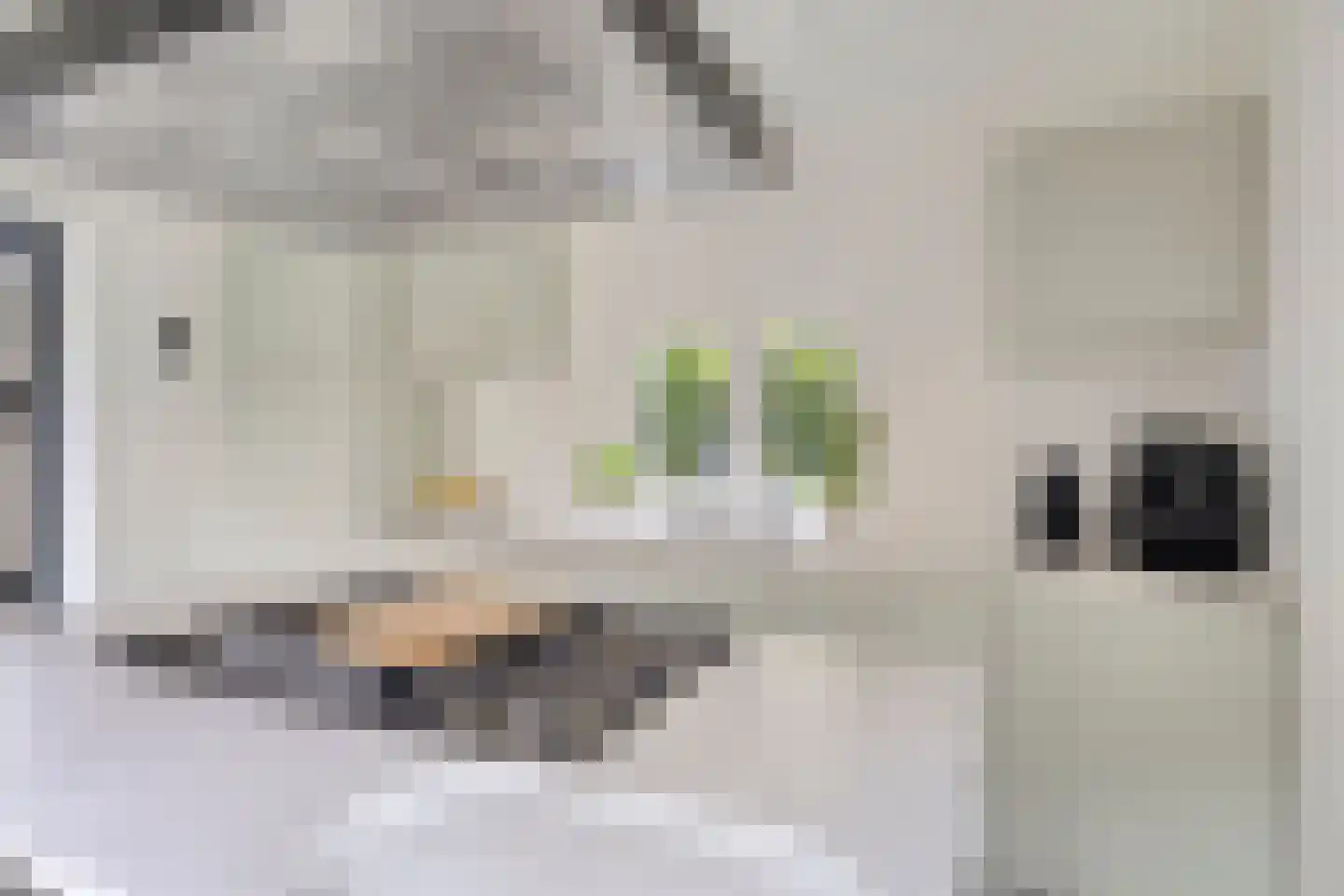 Marktstraat 10 Mierlo thumbnail 18