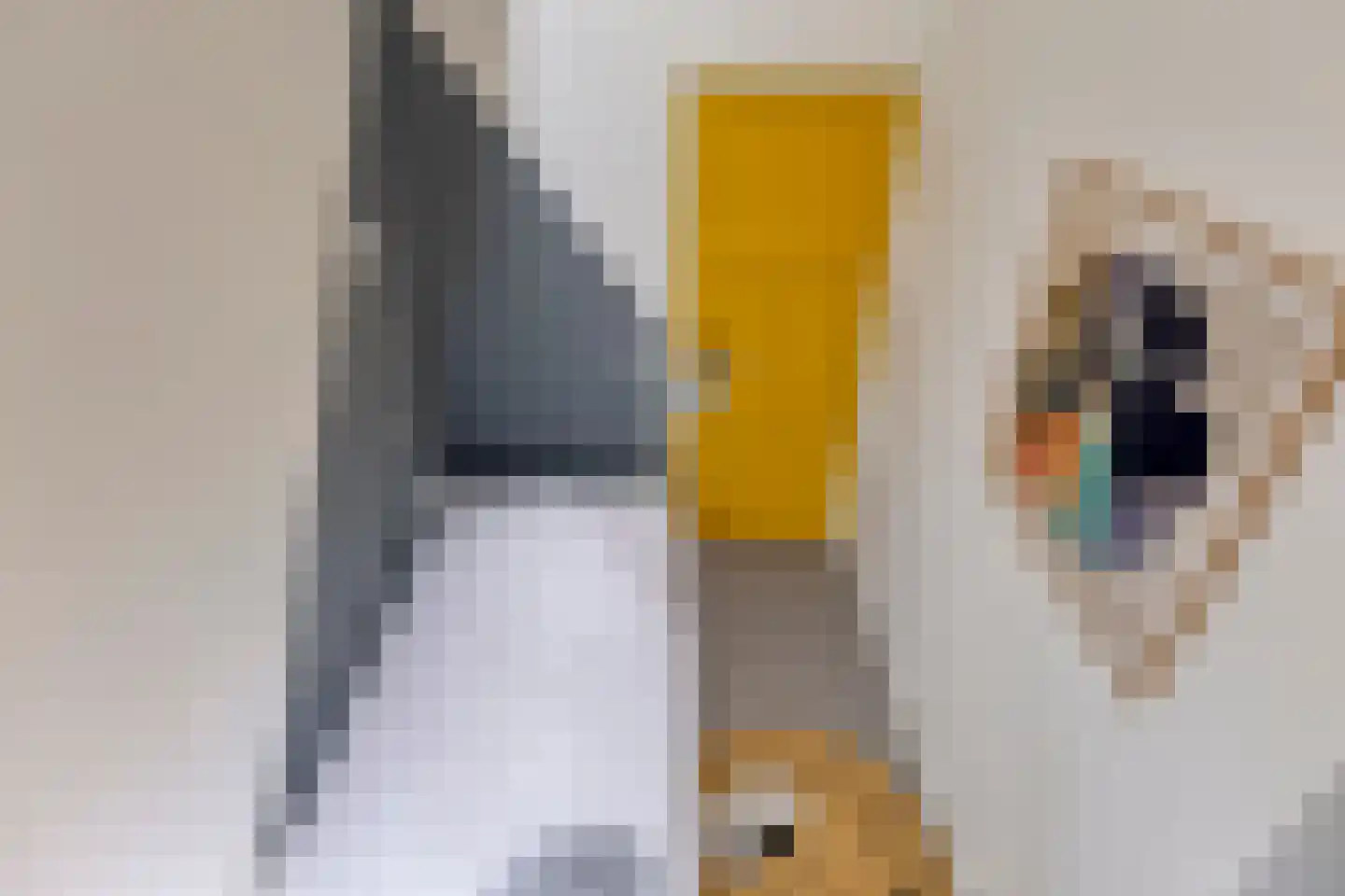 Marktstraat 10 Mierlo thumbnail 25