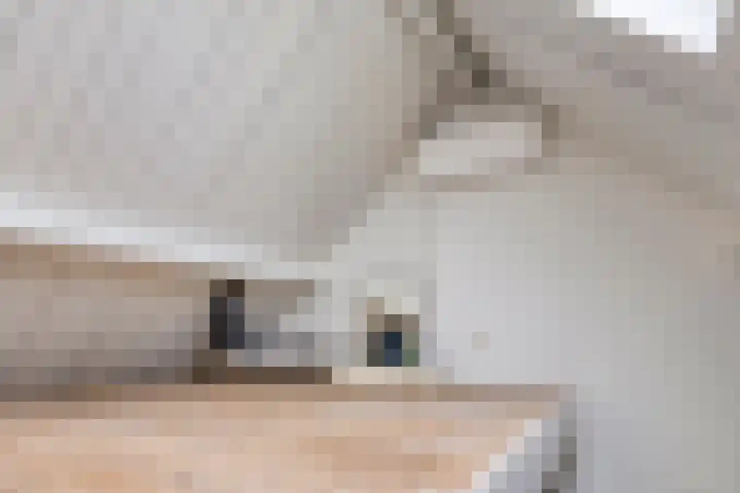 Marktstraat 10 Mierlo thumbnail 31