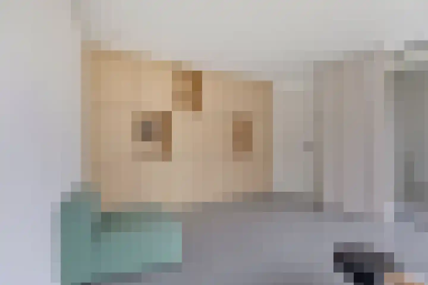 Marktstraat 10 Mierlo thumbnail 36