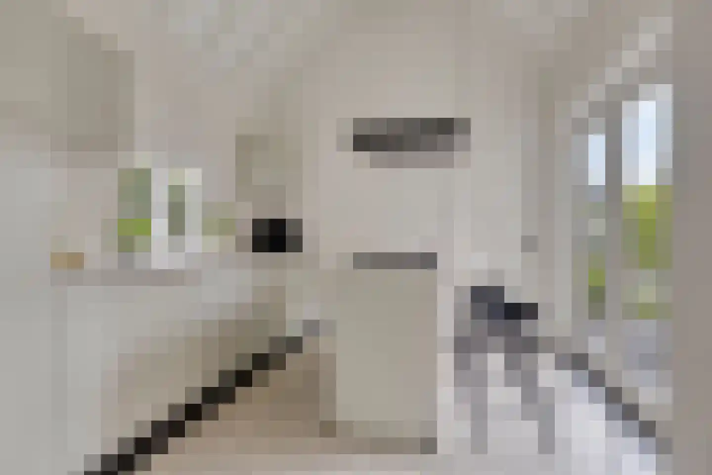 Marktstraat 10 Mierlo thumbnail 4