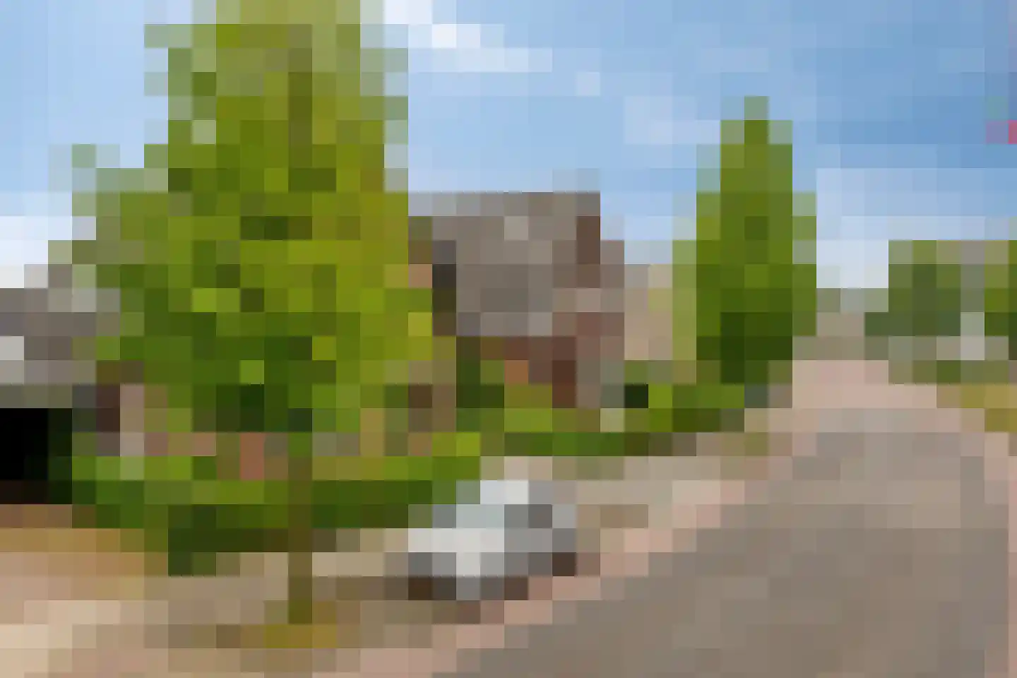 Marktstraat 10 Mierlo thumbnail 56