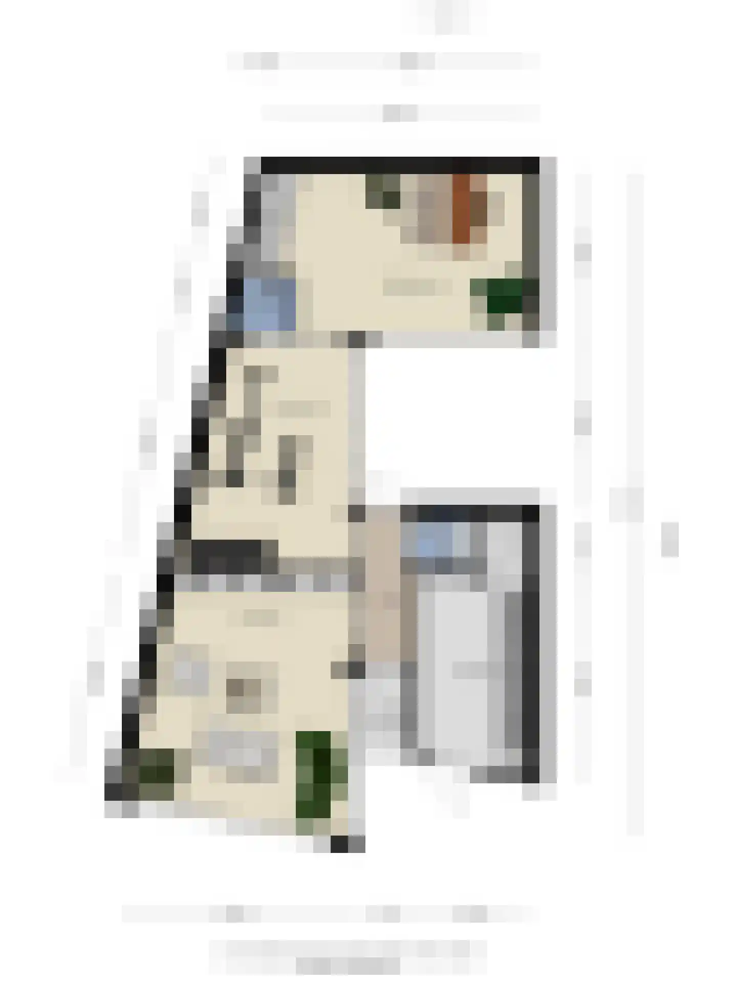 Marktstraat 10 Mierlo thumbnail 62