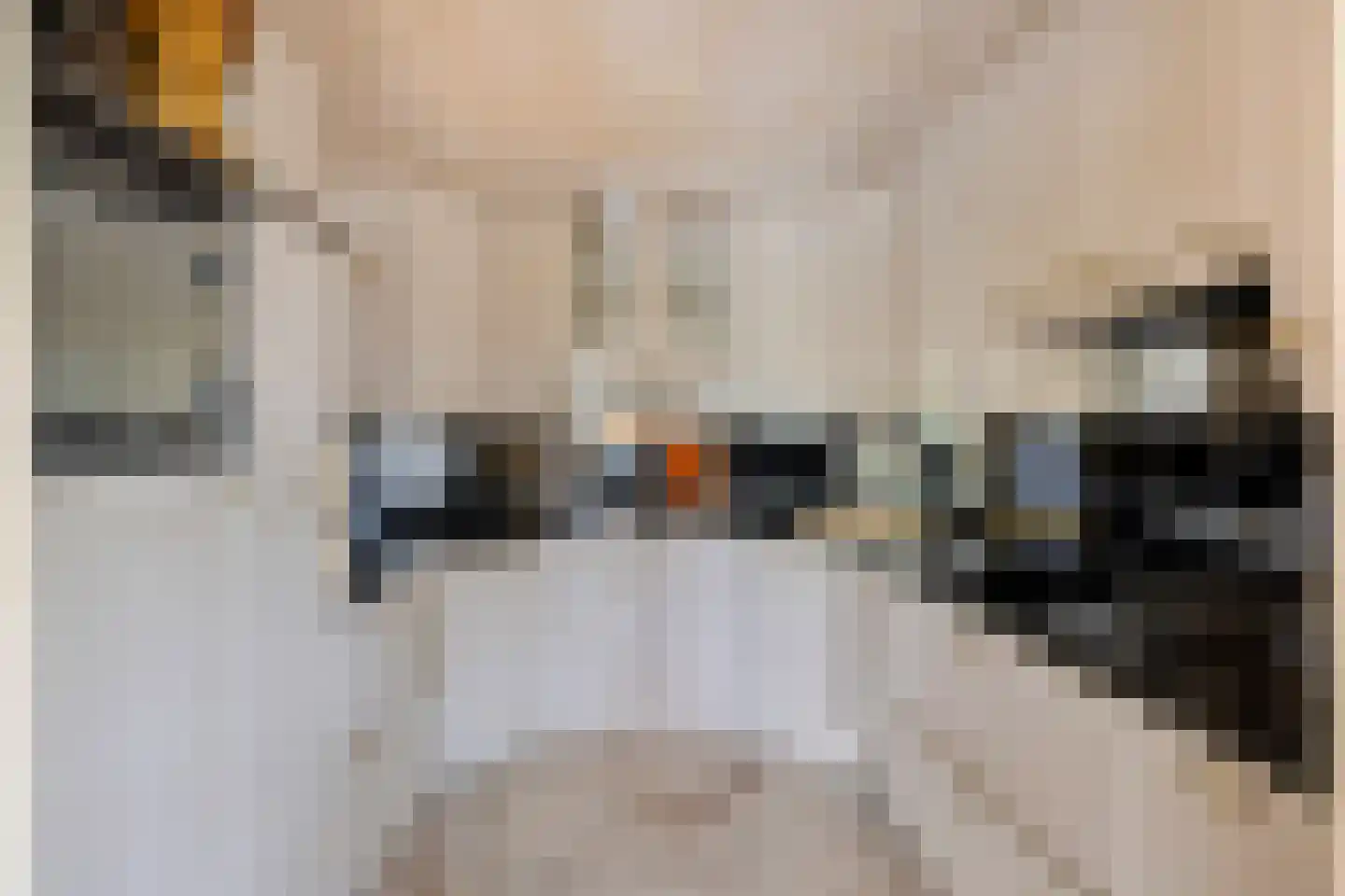 Marktstraat 107 Mierlo thumbnail 4