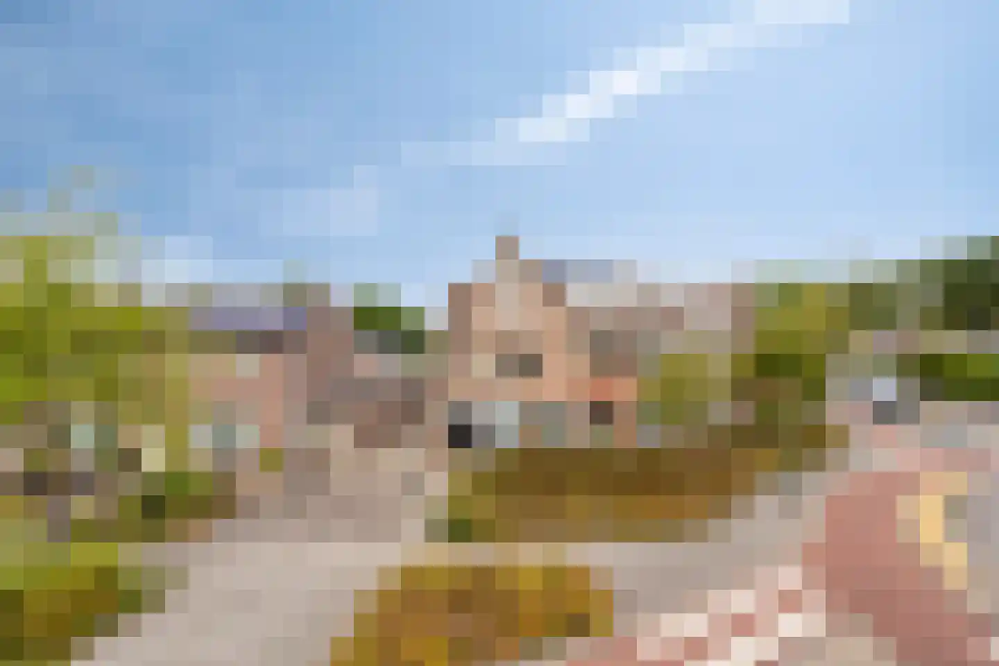 Marktstraat 107 Mierlo thumbnail 43