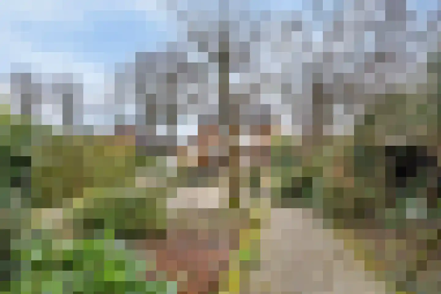 Marktstraat 11 a Nunspeet thumbnail 63