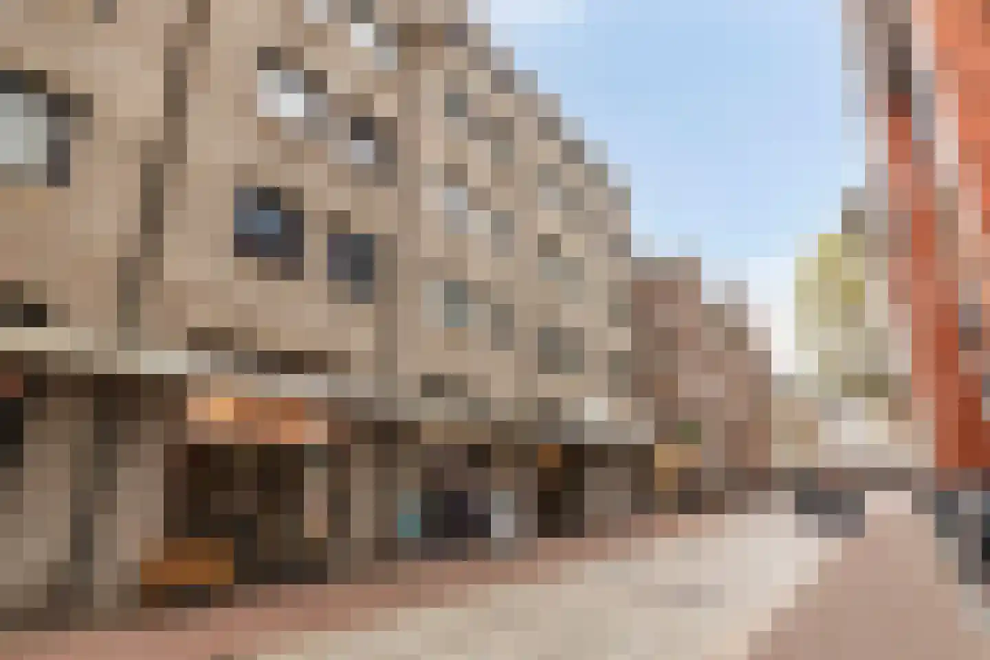 Marktstraat 11 A 's-Hertogenbosch thumbnail 26