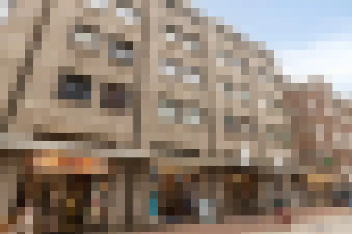 Marktstraat 11 A 's-Hertogenbosch thumbnail 27