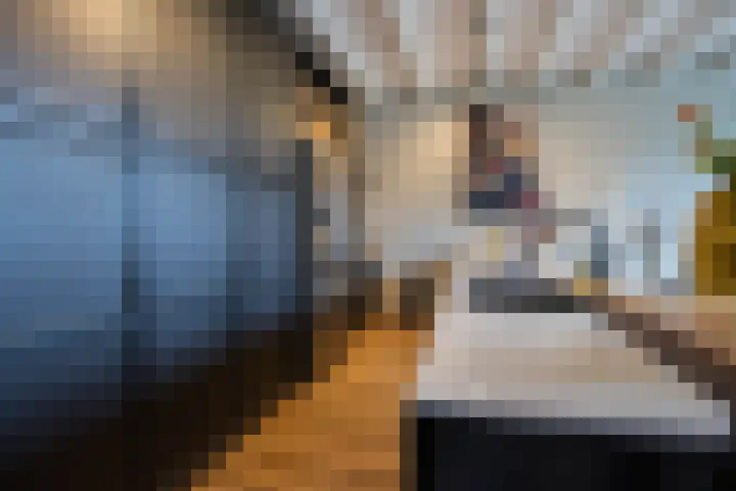 Marktstraat 12 Wessem thumbnail 4