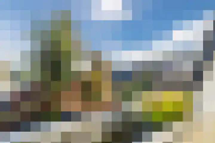 Marktstraat 14 g Scherpenzeel thumbnail 20