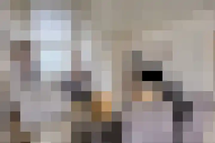 Marktstraat 14 Mierlo thumbnail 17