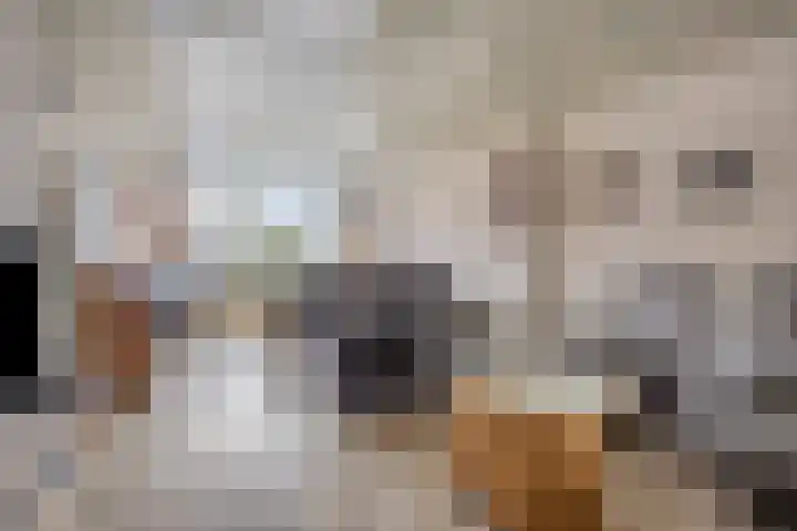 Marktstraat 14 Mierlo thumbnail 18