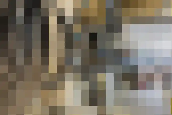 Marktstraat 14 Mierlo thumbnail 43