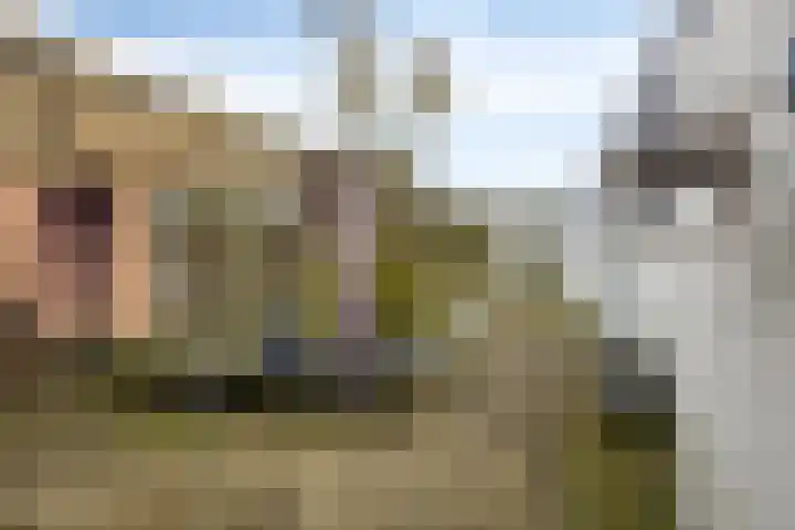 Marktstraat 14 Mierlo thumbnail 8