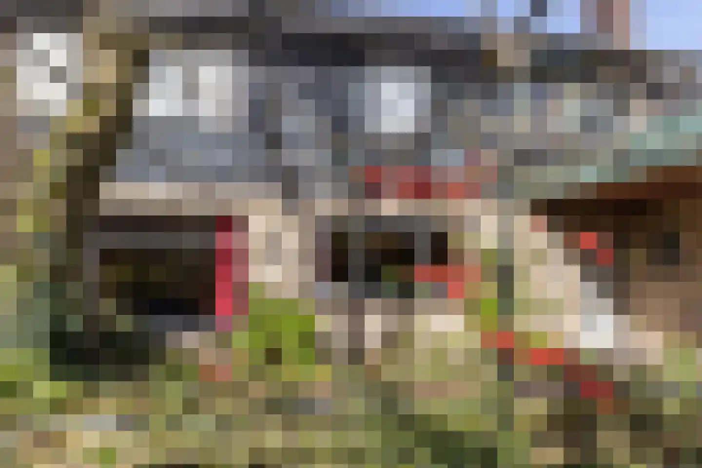 Marktstraat 14 Neede thumbnail 34
