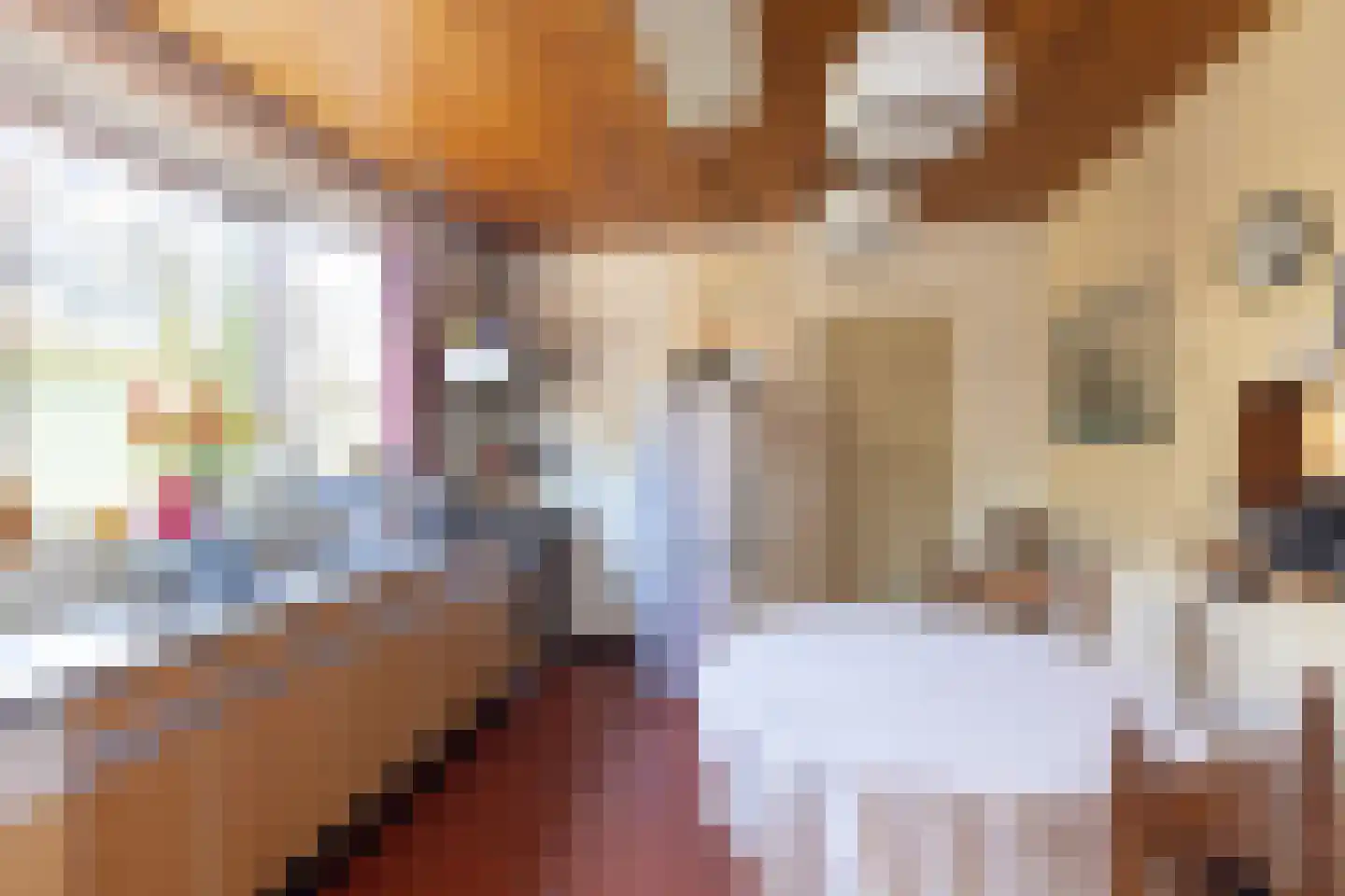 Marktstraat 14 Neede thumbnail 6