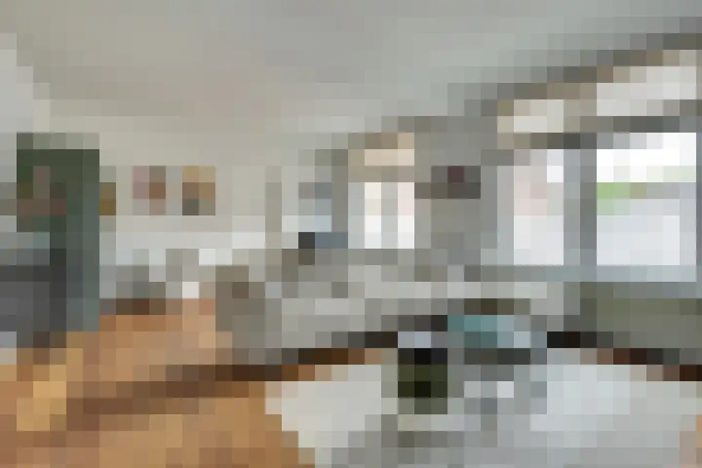 Marktstraat 15 Baarlo thumbnail 11