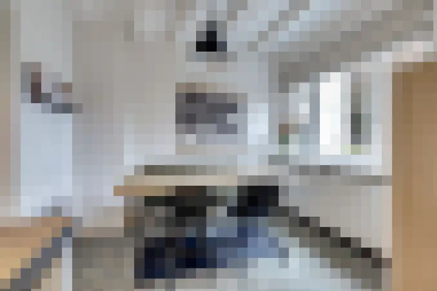 Marktstraat 15 Baarlo thumbnail 17