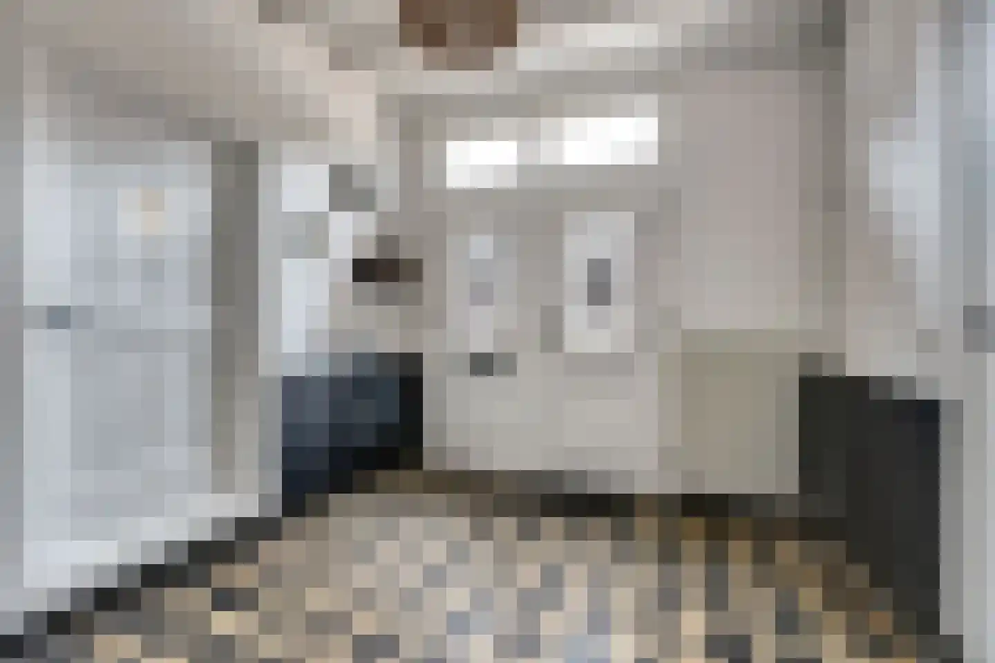 Marktstraat 15 Baarlo thumbnail 20