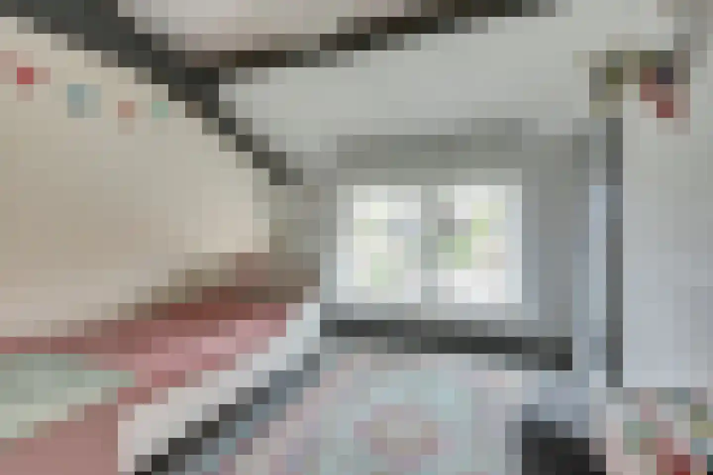 Marktstraat 15 Baarlo thumbnail 32