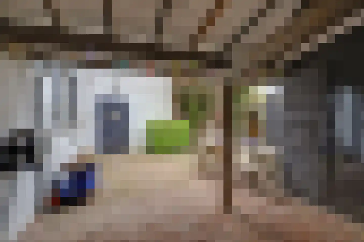 Marktstraat 15 Baarlo thumbnail 38