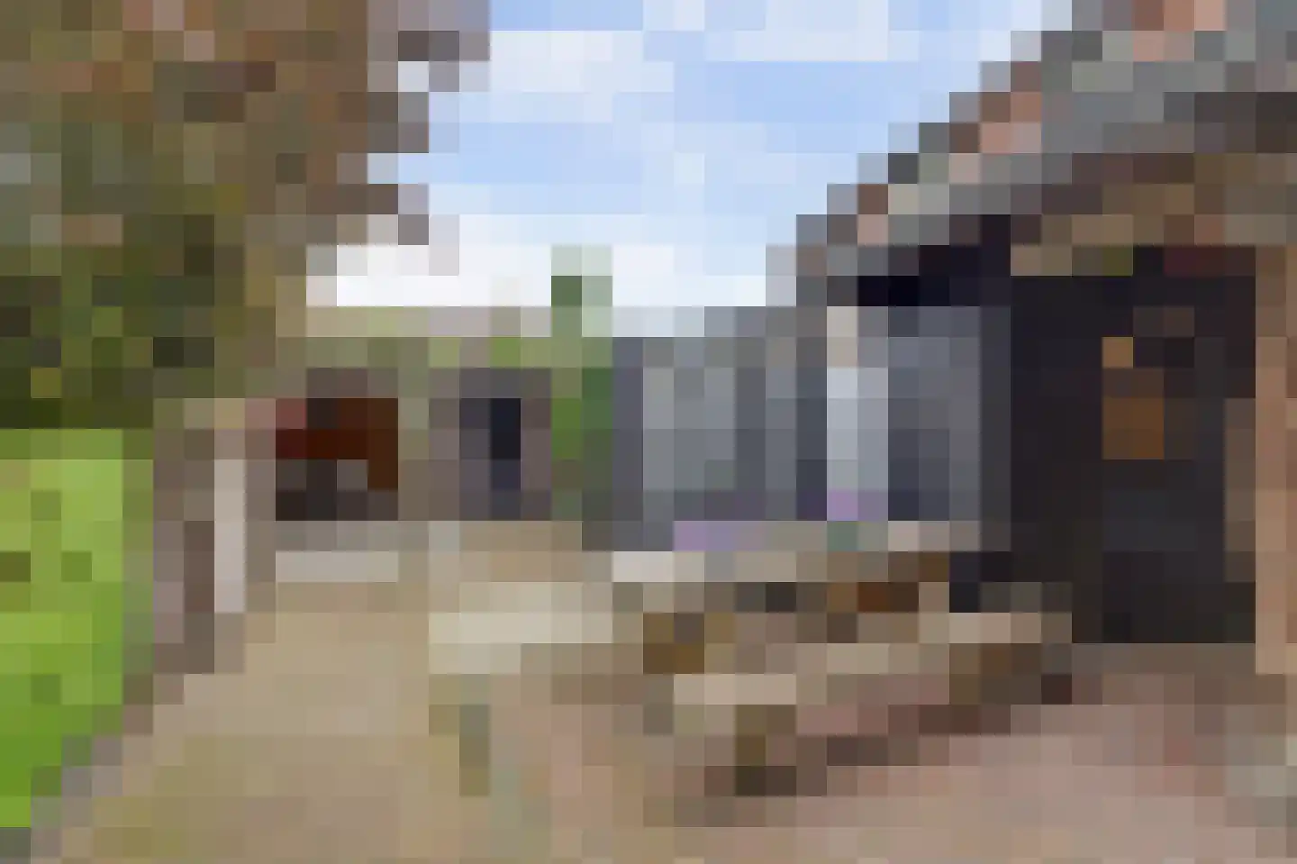 Marktstraat 15 Baarlo thumbnail 39
