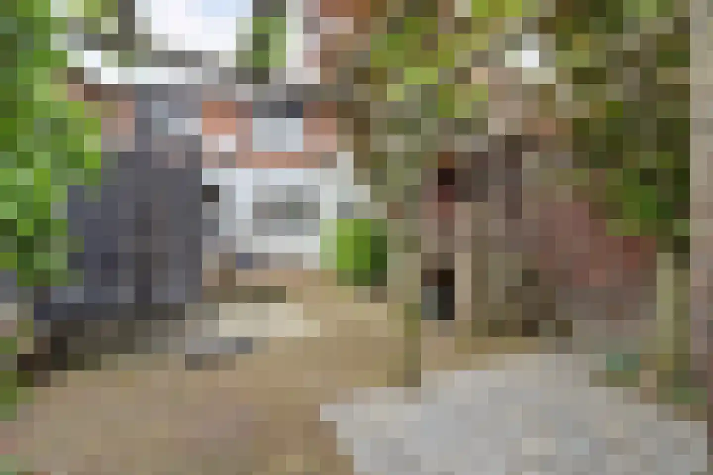 Marktstraat 15 Baarlo thumbnail 43
