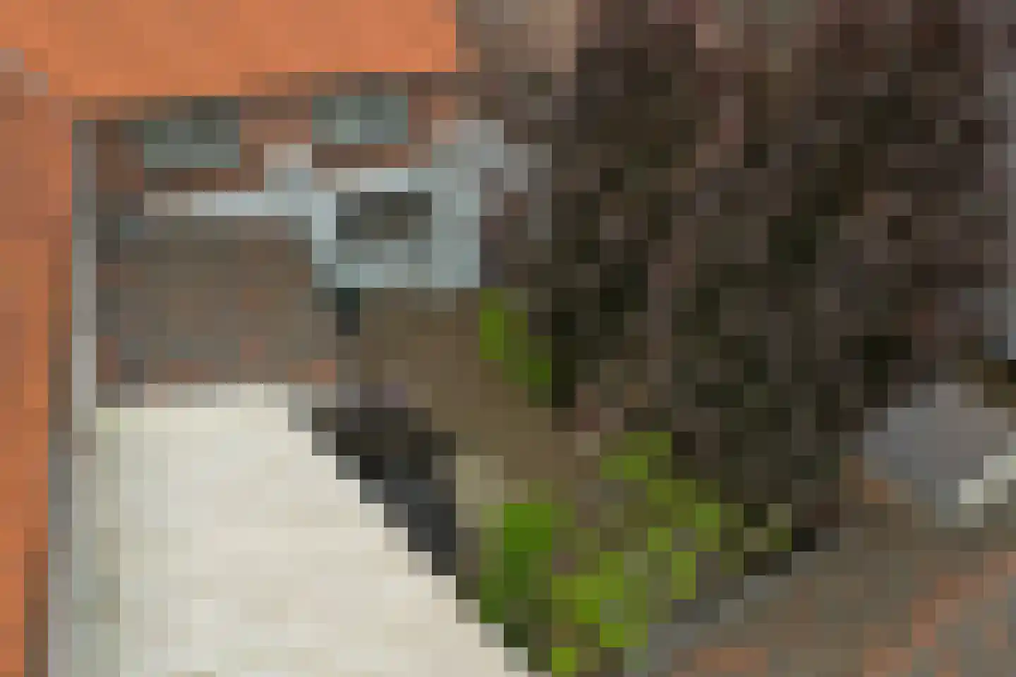 Marktstraat 15 Baarlo thumbnail 48
