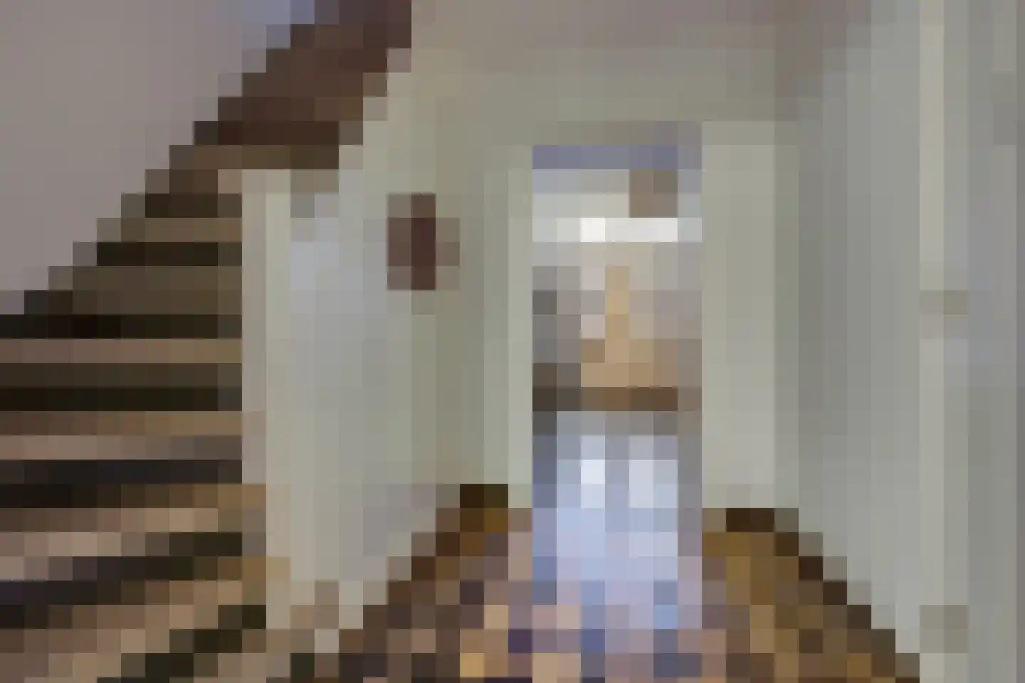 Marktstraat 15 Baarlo thumbnail 5