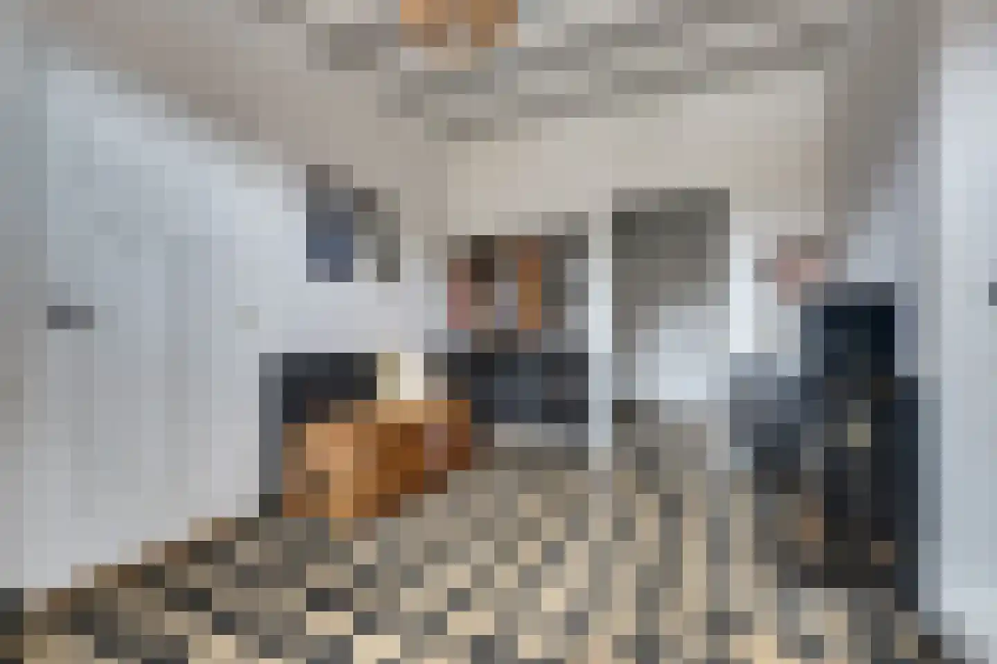 Marktstraat 15 Baarlo thumbnail 8