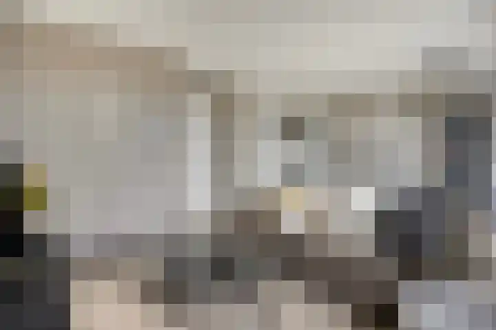 Marktstraat 16 f Scherpenzeel thumbnail 4