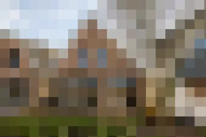 Marktstraat 18 Neede thumbnail 37