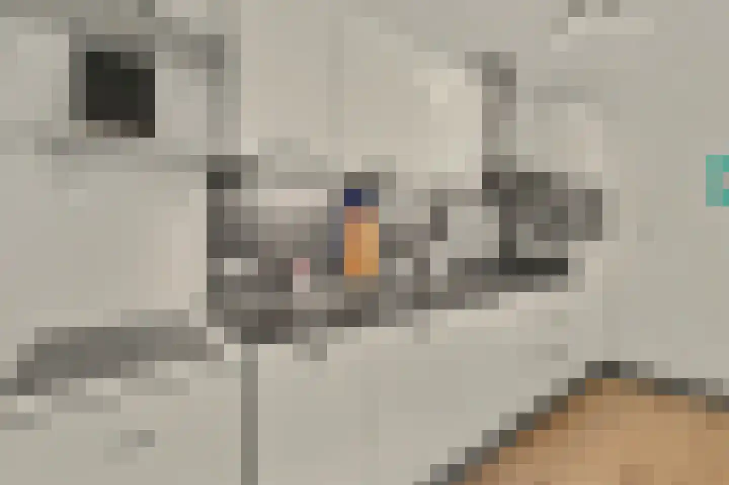 Marktstraat 2 D Bladel thumbnail 13