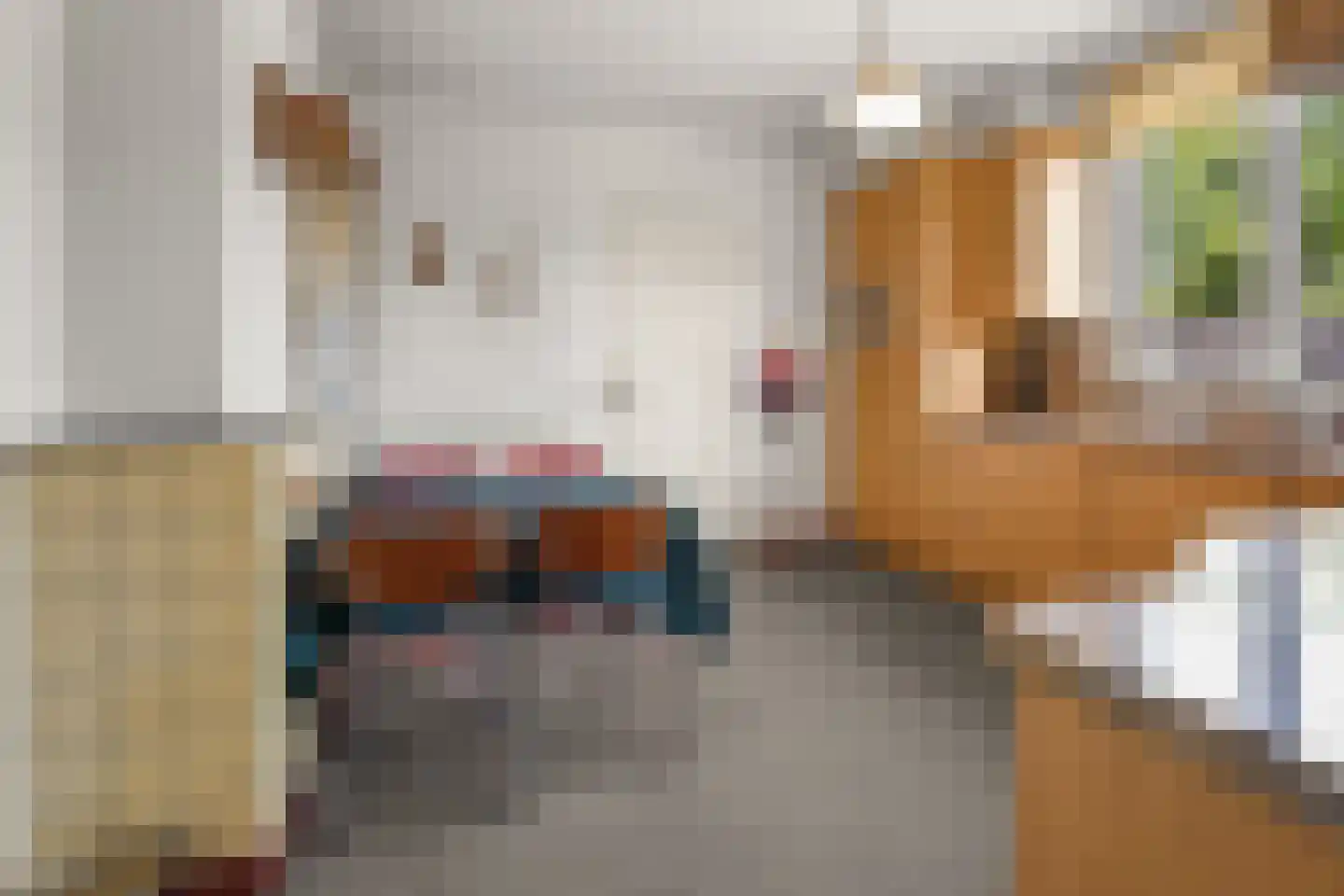 Marktstraat 2 Echt thumbnail 18